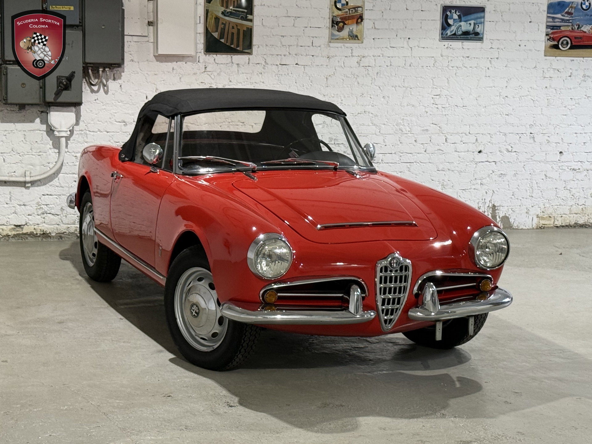 1966 Alfa Romeo Giulia - Spider Veloce, foto 12