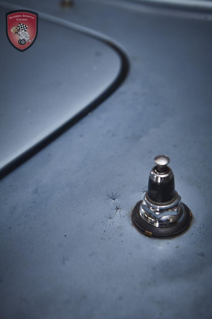1967 Maserati Quattroporte, foto 11