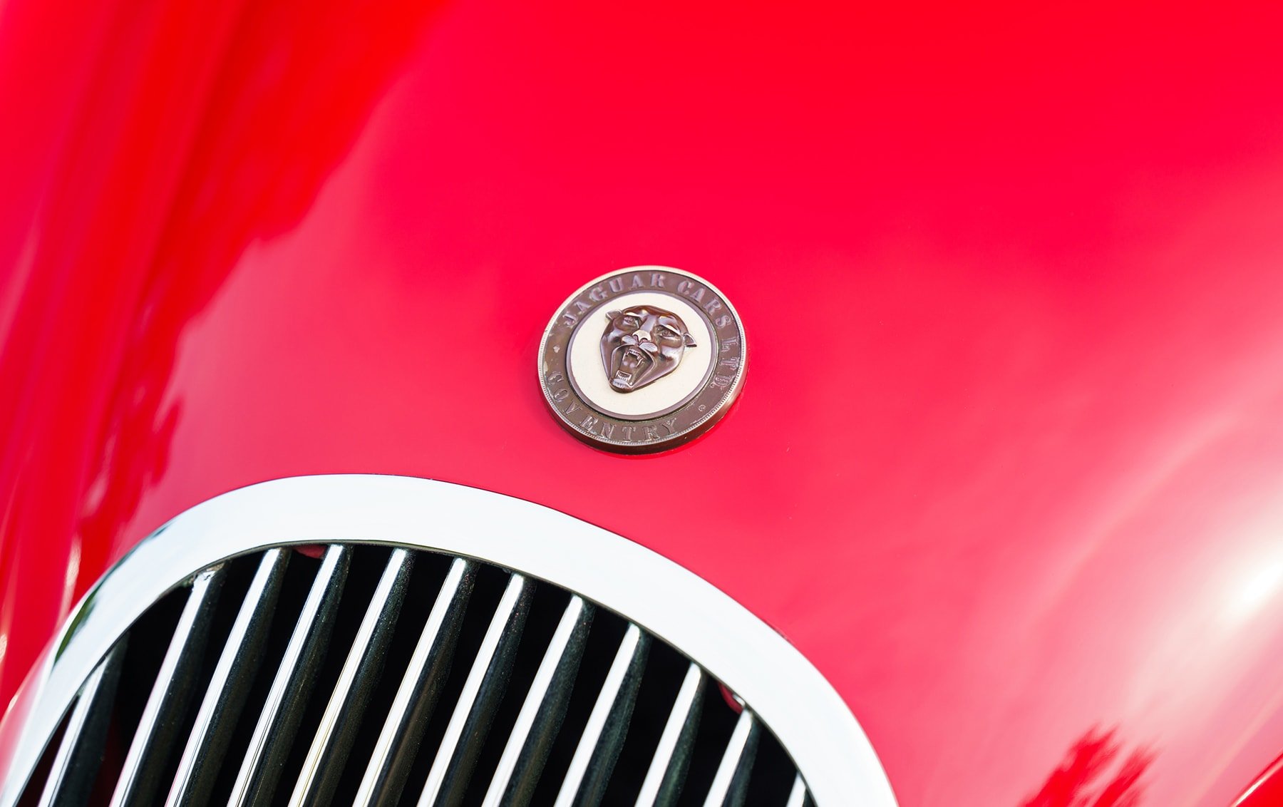 1954 Jaguar XK 120, foto 10
