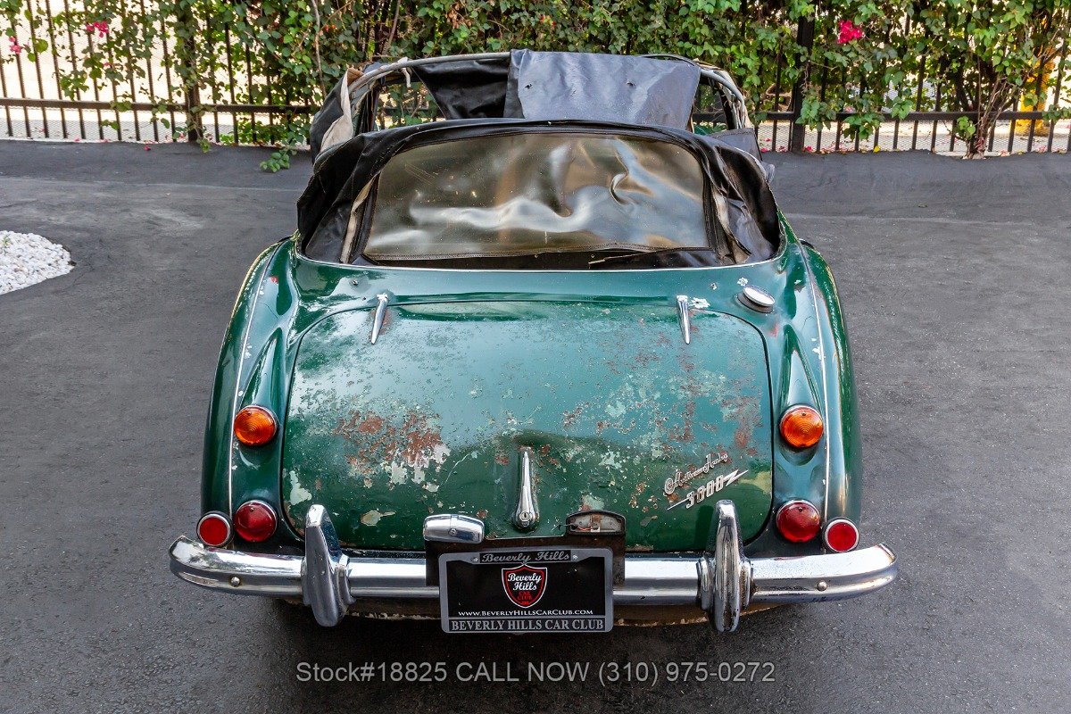 1966 Austin-Healey 3000 - Convertible Sports Car, foto 11