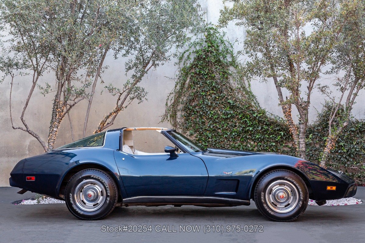 1978 Chevrolet Corvette - T-Top 25th Anniversary, foto 4