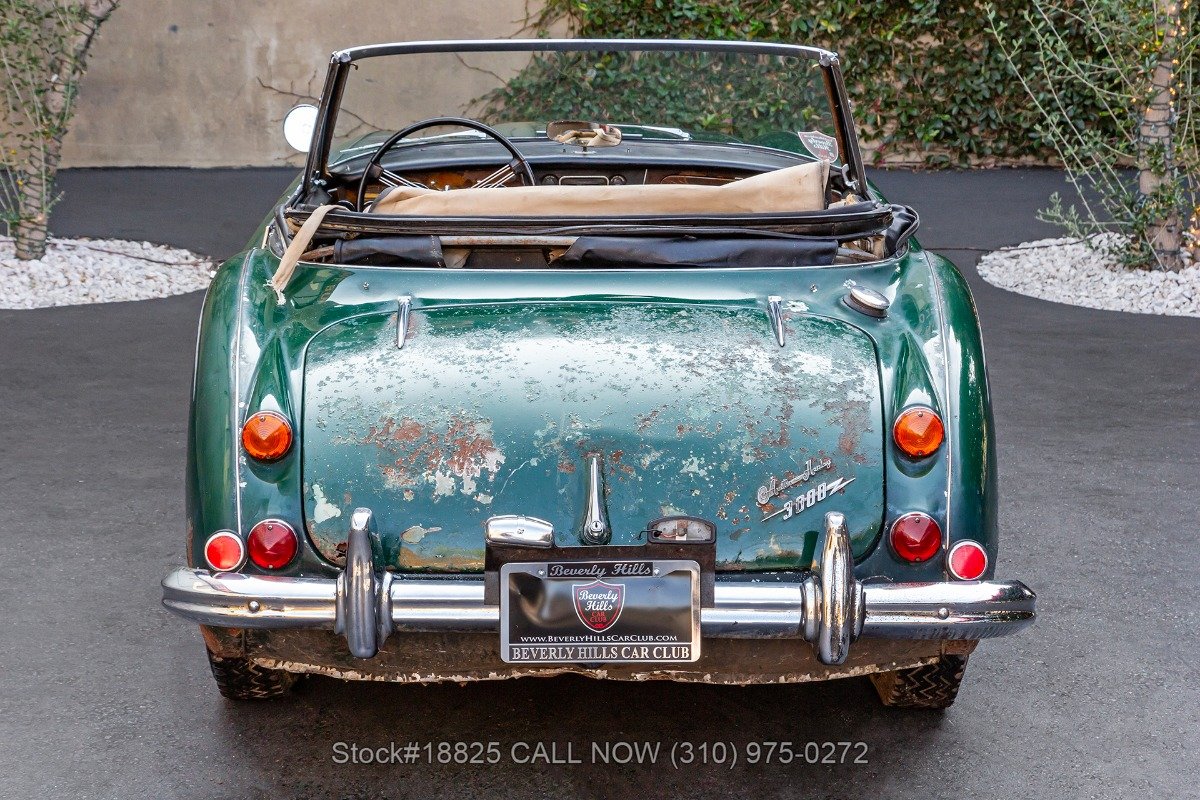 1966 Austin-Healey 3000 - Convertible Sports Car, foto 6