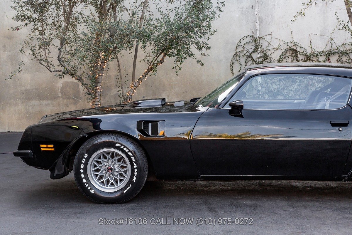 1974 Pontiac Firebird, foto 12