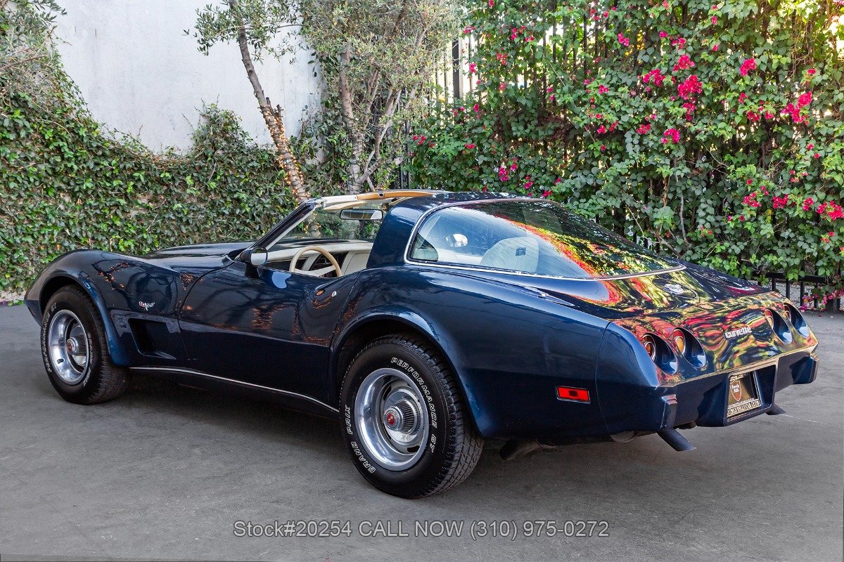 1978 Chevrolet Corvette - T-Top 25th Anniversary, foto 7