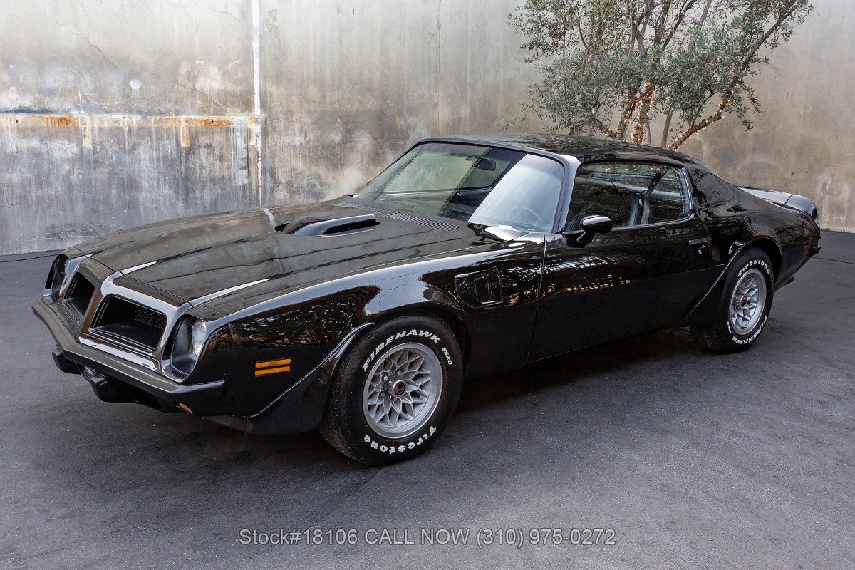 1974 Pontiac Firebird, foto 8