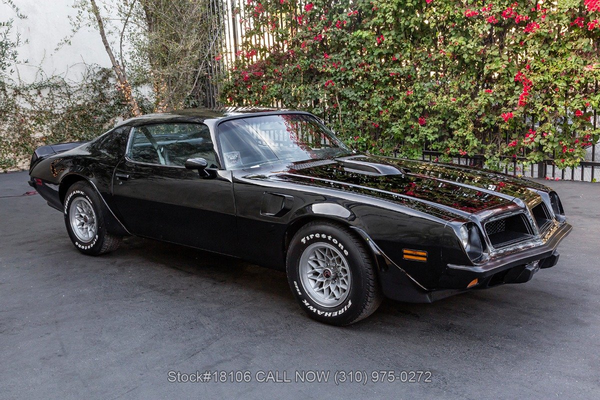 1974 Pontiac Firebird, foto 3
