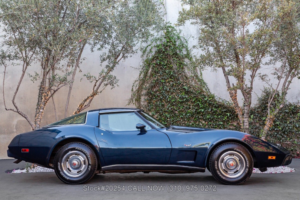 1978 Chevrolet Corvette - T-Top 25th Anniversary, foto 10