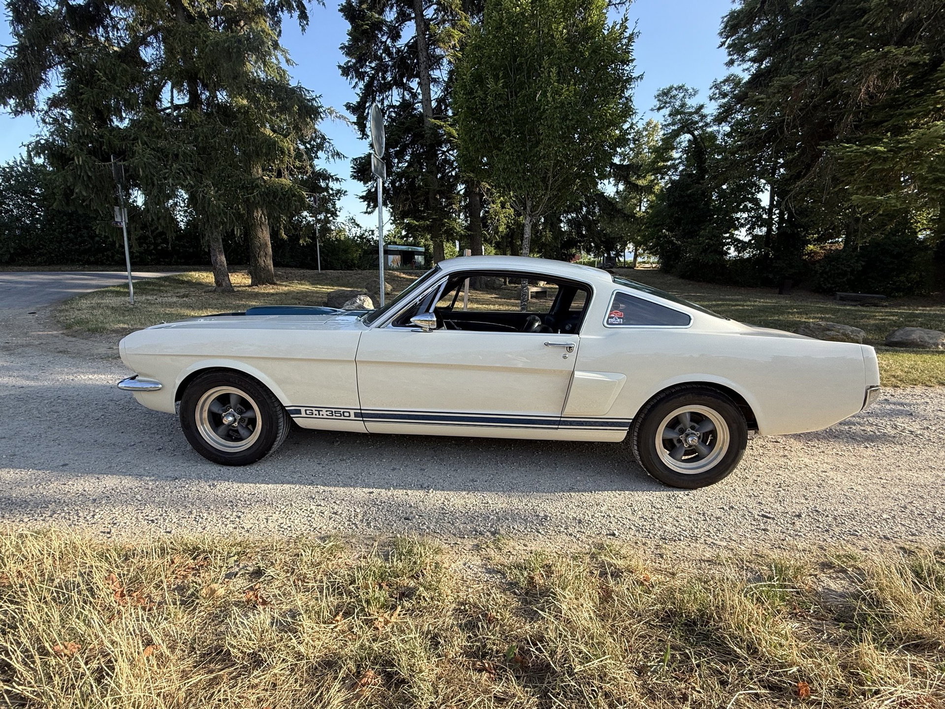 1965 Shelby GT 350 - SHELBY GT350, foto 2