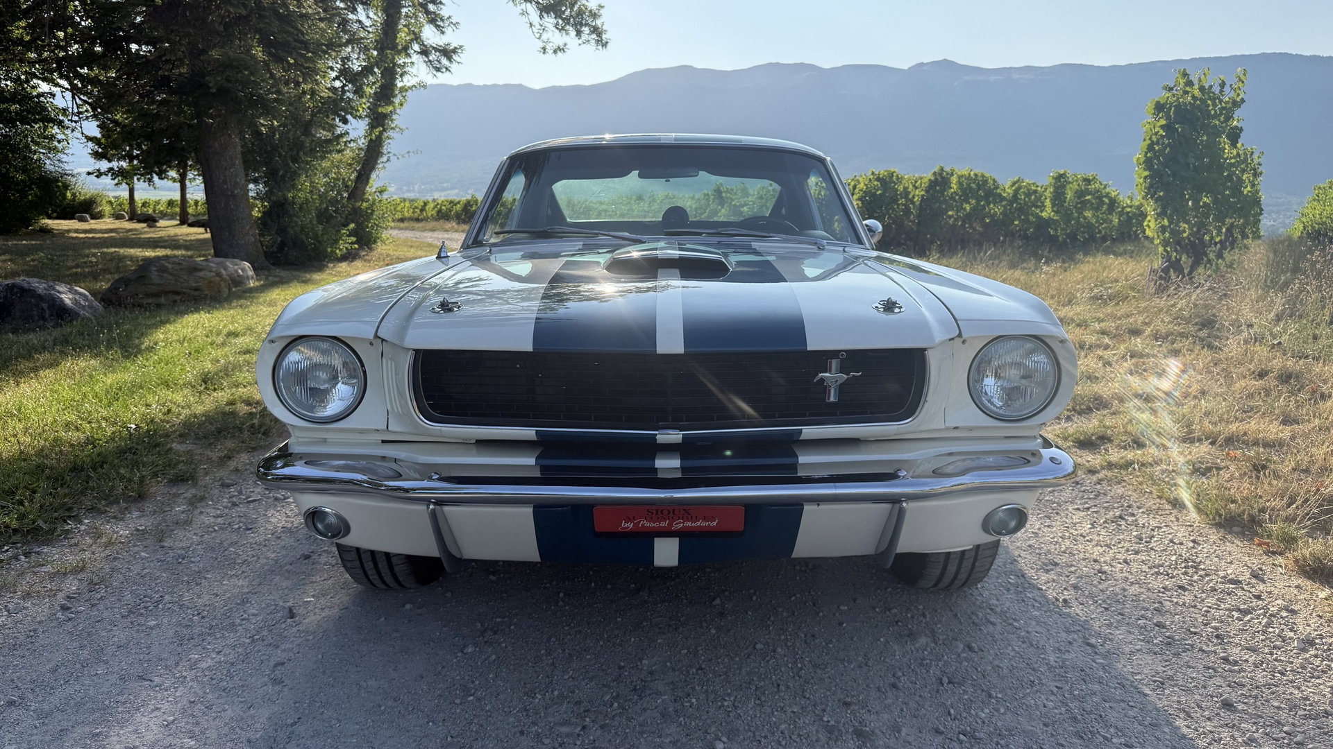 1965 Shelby GT 350 - SHELBY GT350, foto 3