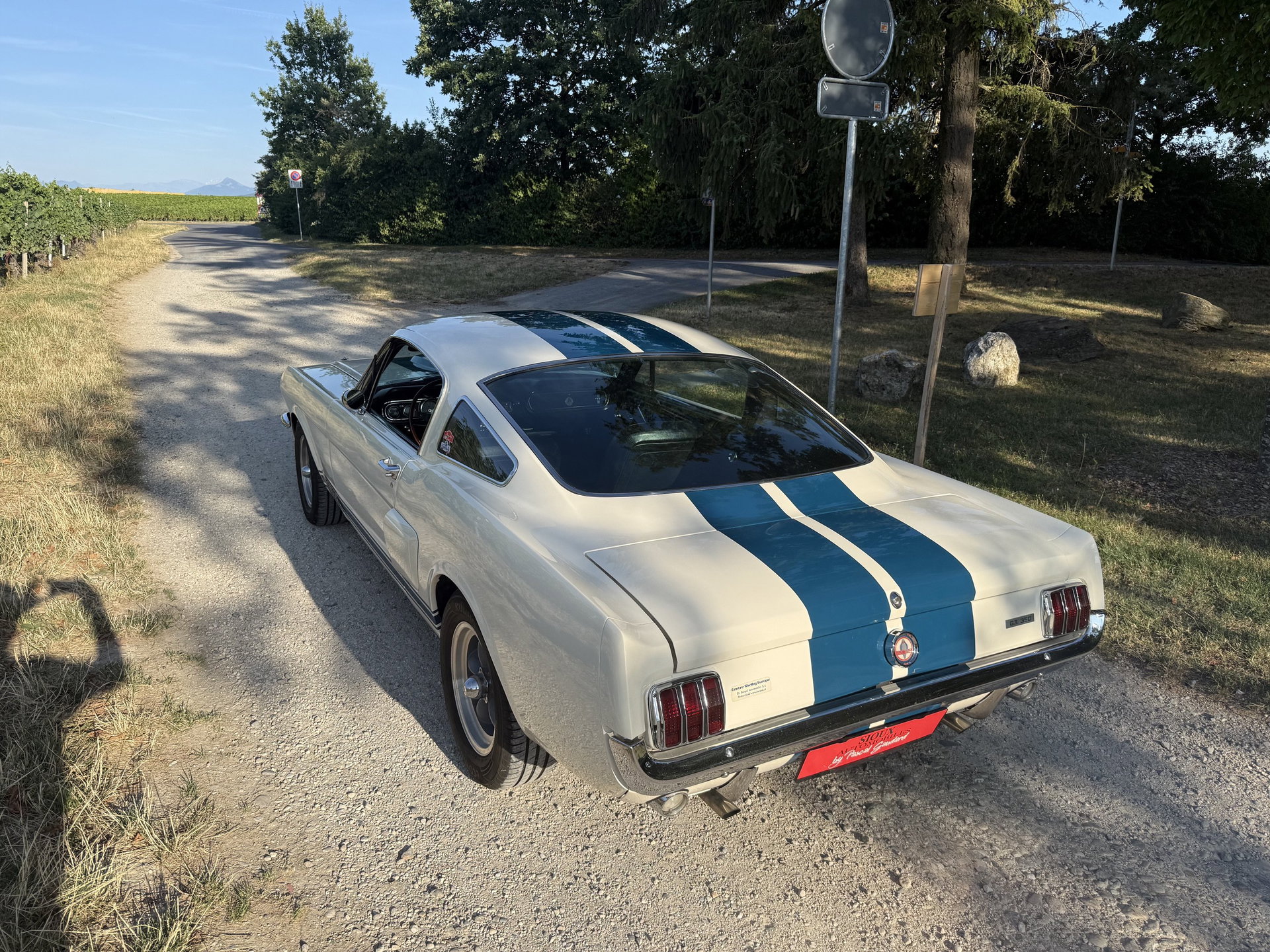 1965 Shelby GT 350 - SHELBY GT350, foto 4