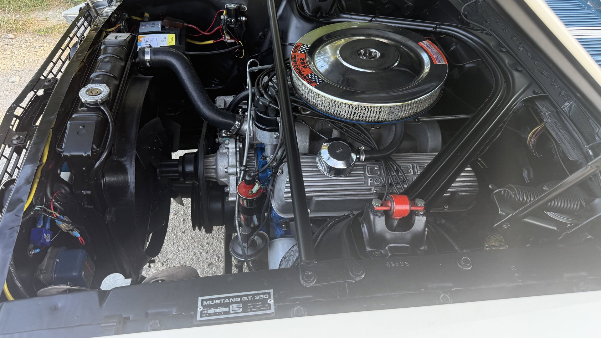 1965 Shelby GT 350 - SHELBY GT350, foto 6
