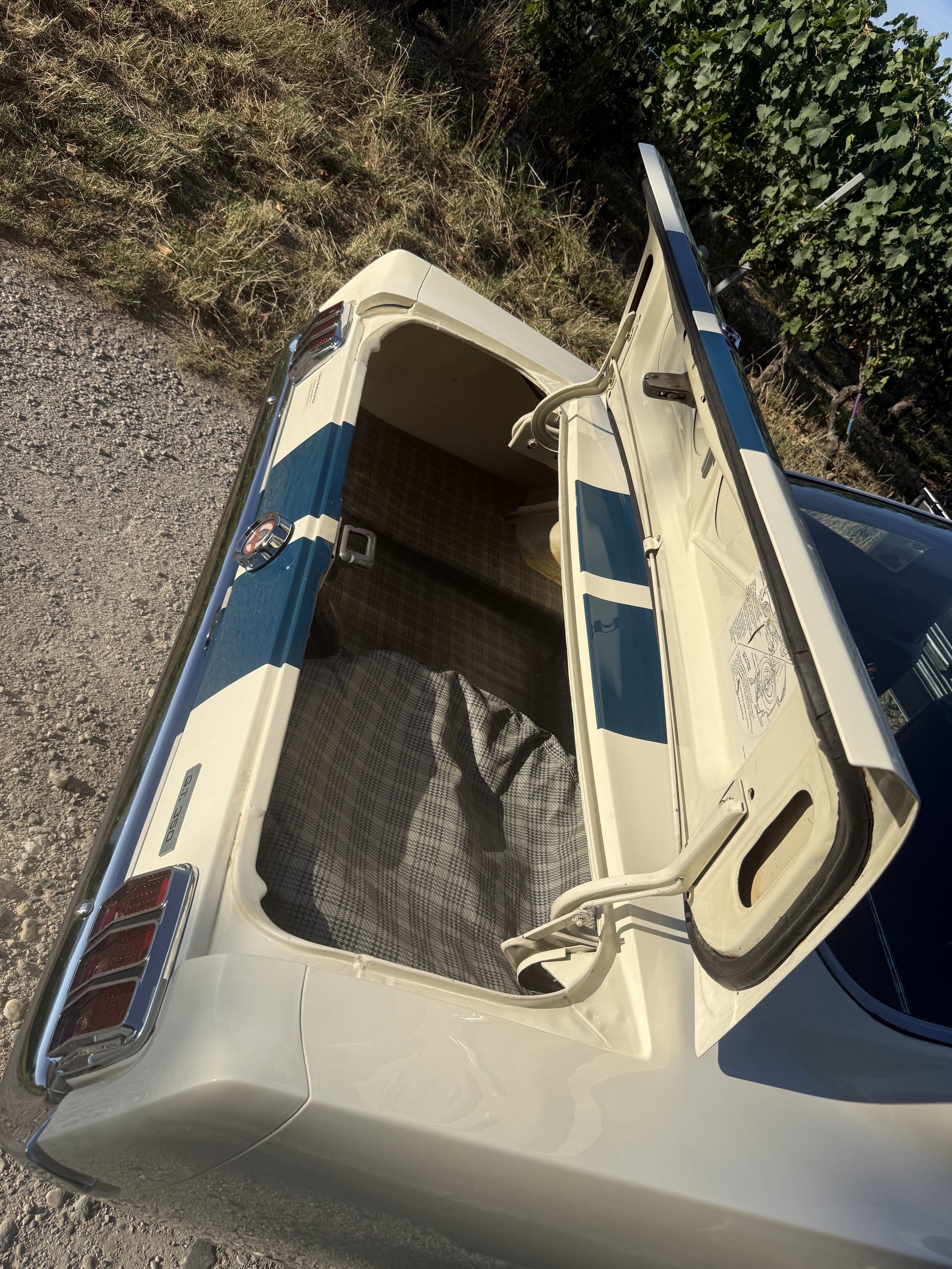 1965 Shelby GT 350 - SHELBY GT350, foto 9