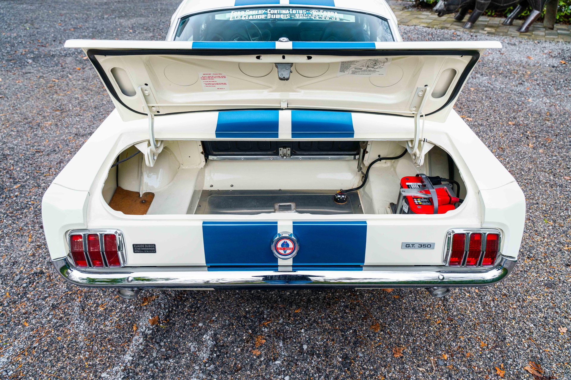 1966 Shelby GT 350, foto 10
