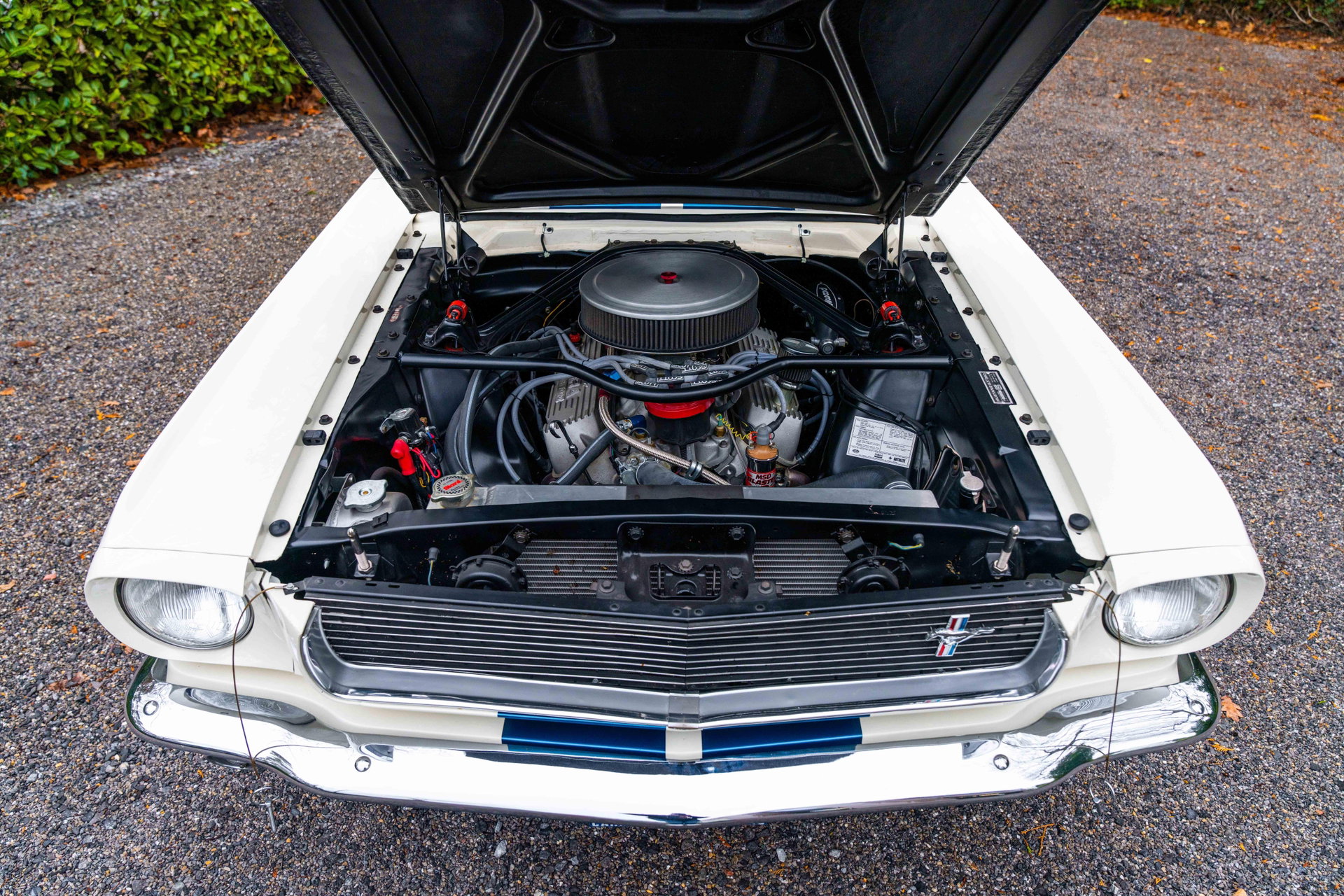 1966 Shelby GT 350, foto 11