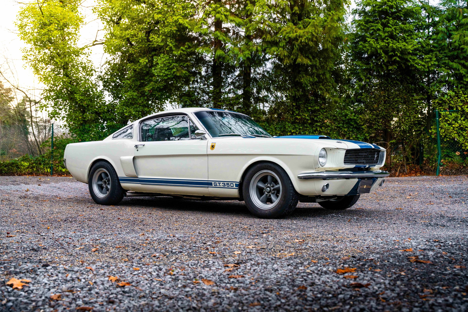 1966 Shelby GT 350, foto 5