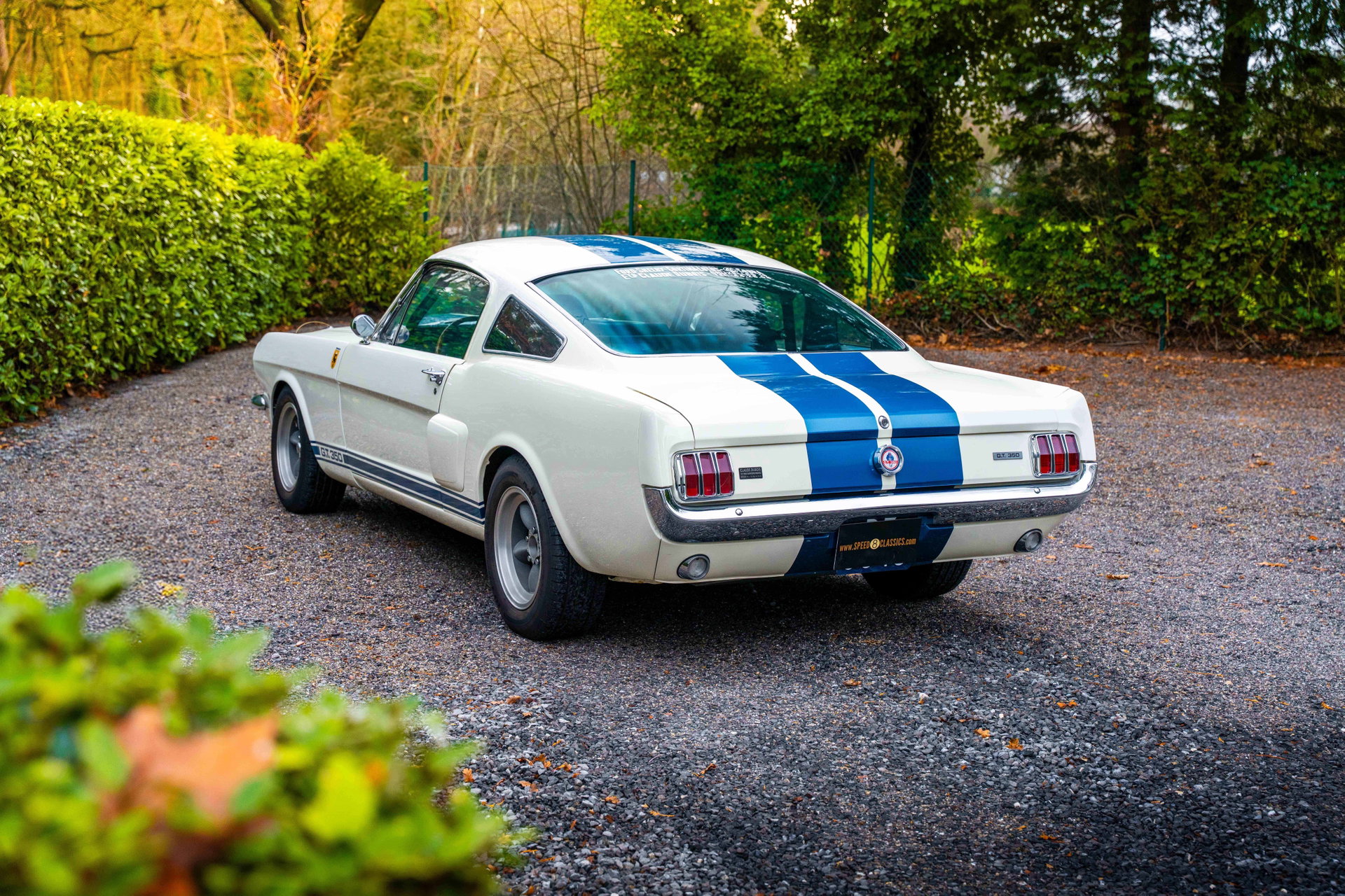 1966 Shelby GT 350, foto 2