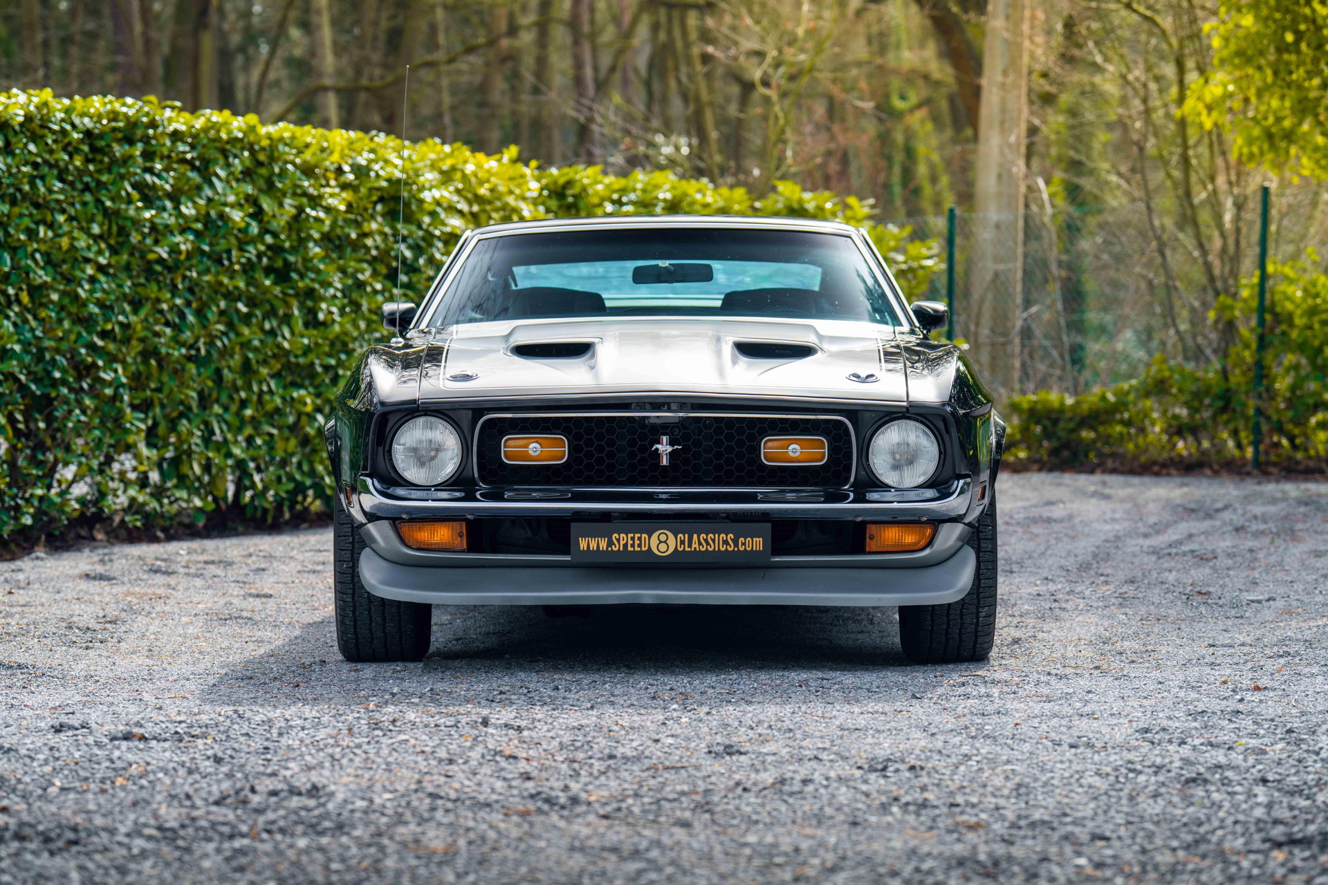 1970 Ford Mustang - Boss 351, foto 5