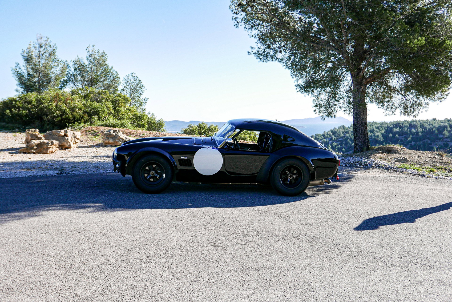 1965 Shelby Cobra - 289, foto 1