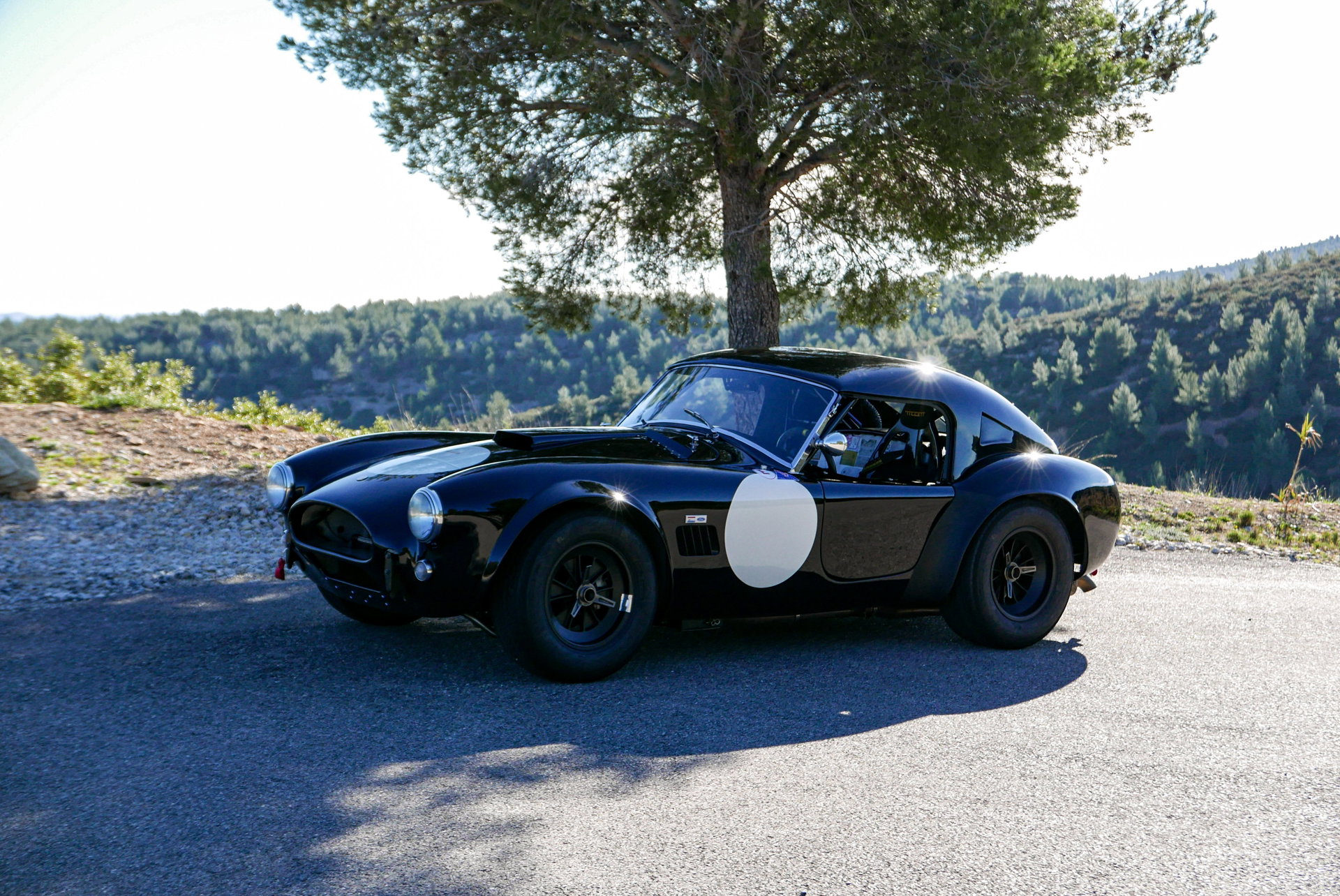1965 Shelby Cobra - 289, foto 6