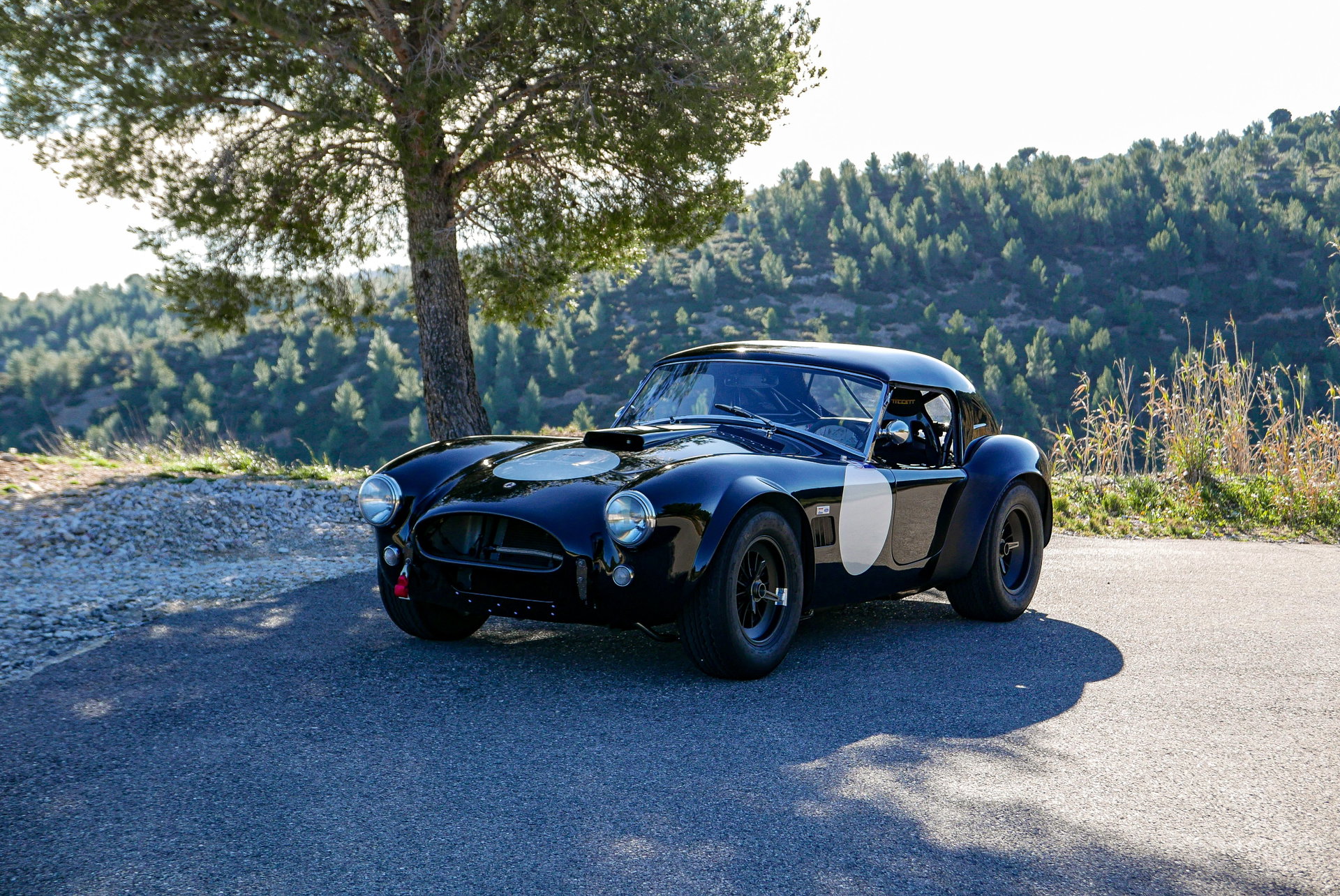 1965 Shelby Cobra - 289, foto 7