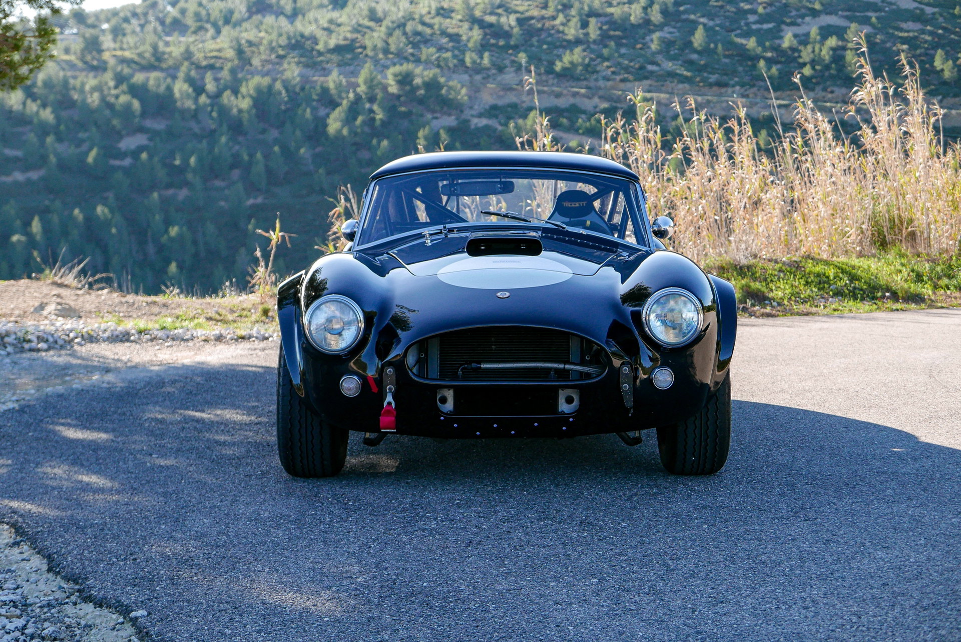1965 Shelby Cobra - 289, foto 8