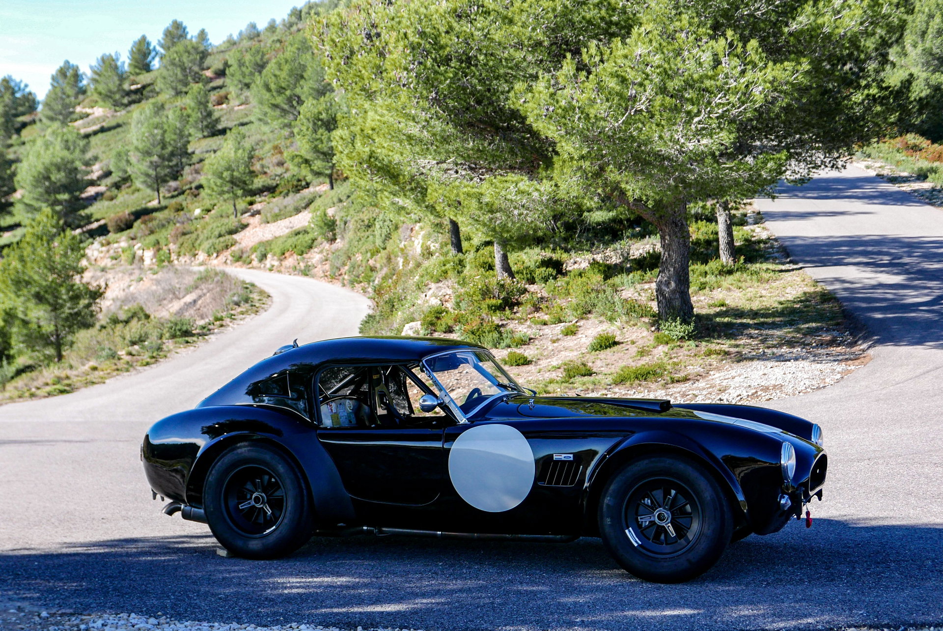 1965 Shelby Cobra - 289, foto 10