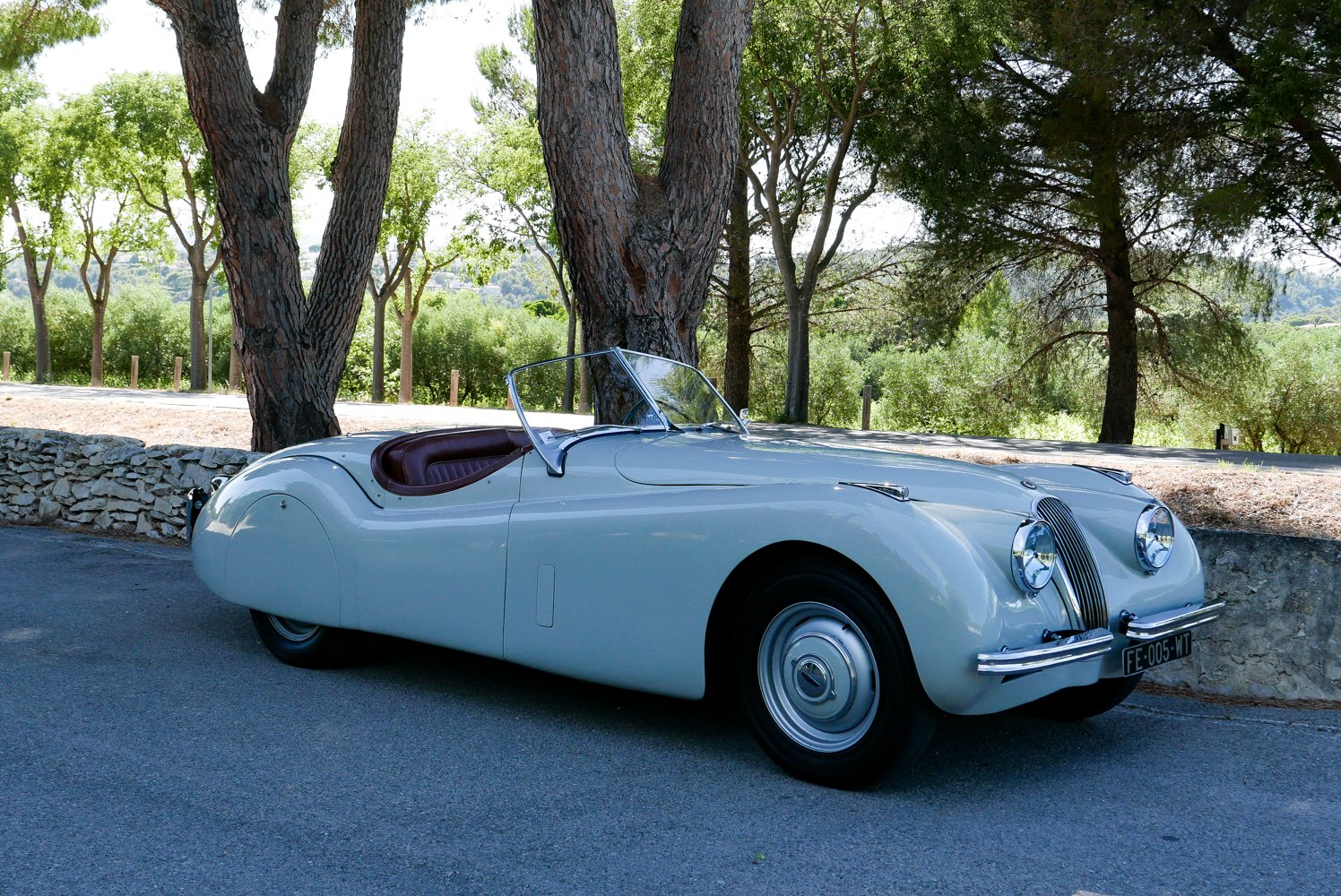 1952 Jaguar XK 120 - Open Two Seater, foto 1