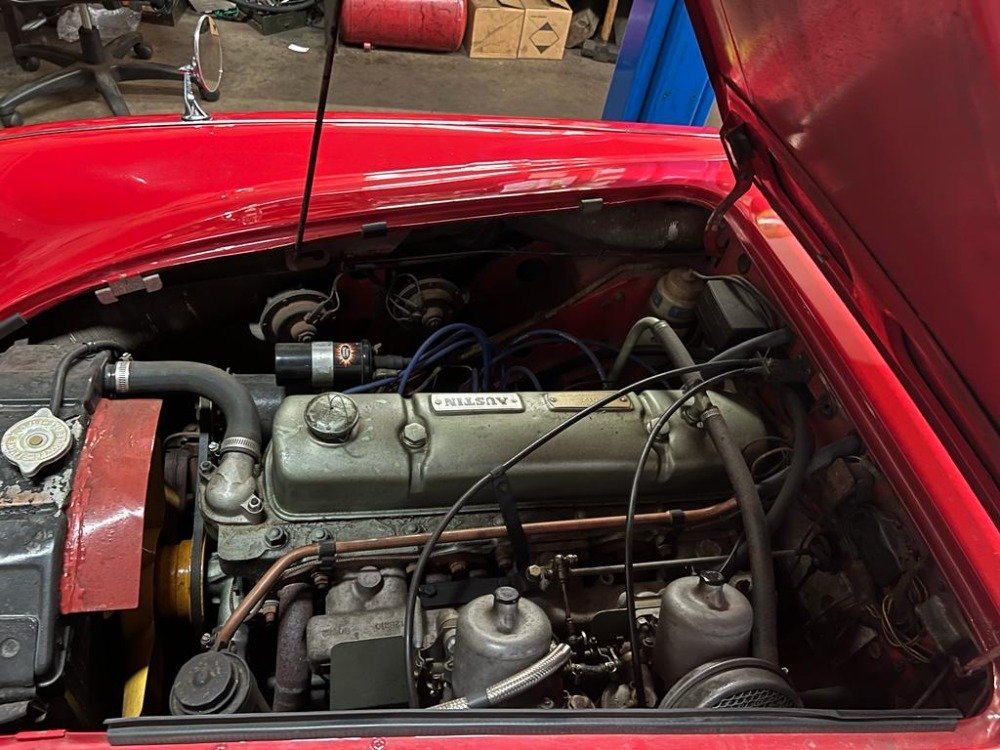 1965 Austin-Healey 3000 - BJ8, foto 8