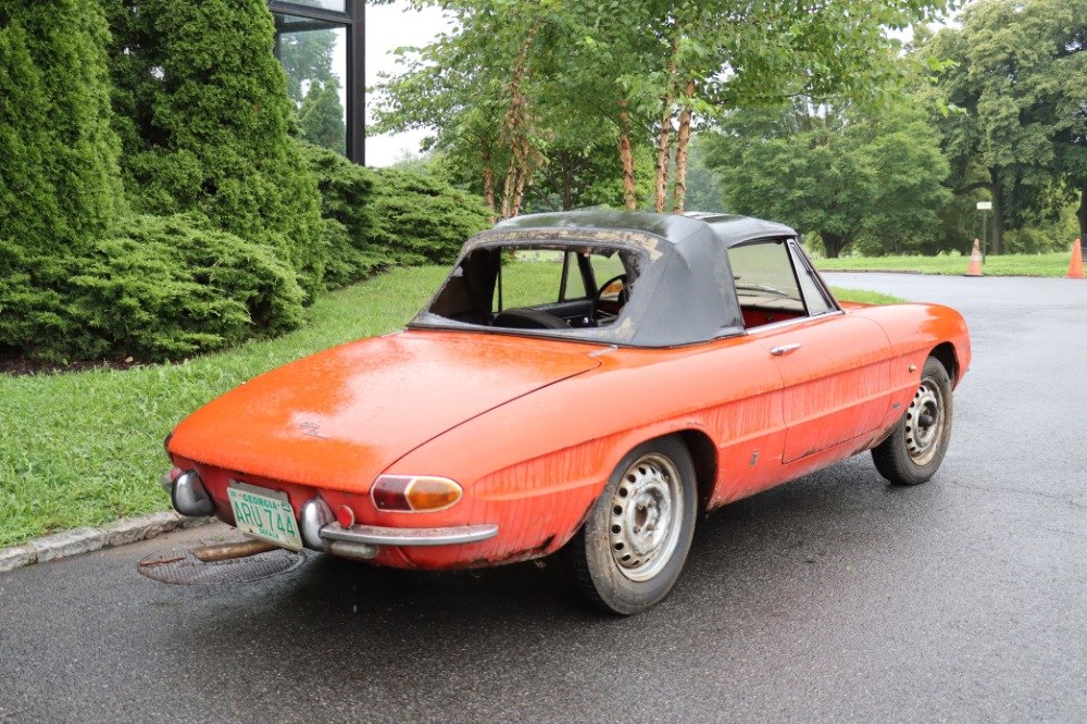 1966 Alfa Romeo Duetto, foto 5