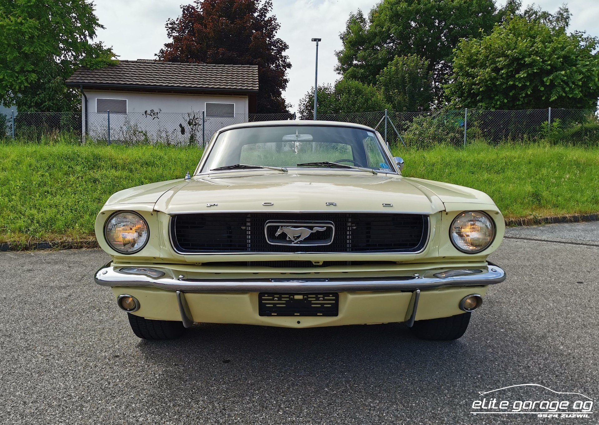 1966 Ford Mustang - MUSTANG 4.7 V8, foto 2