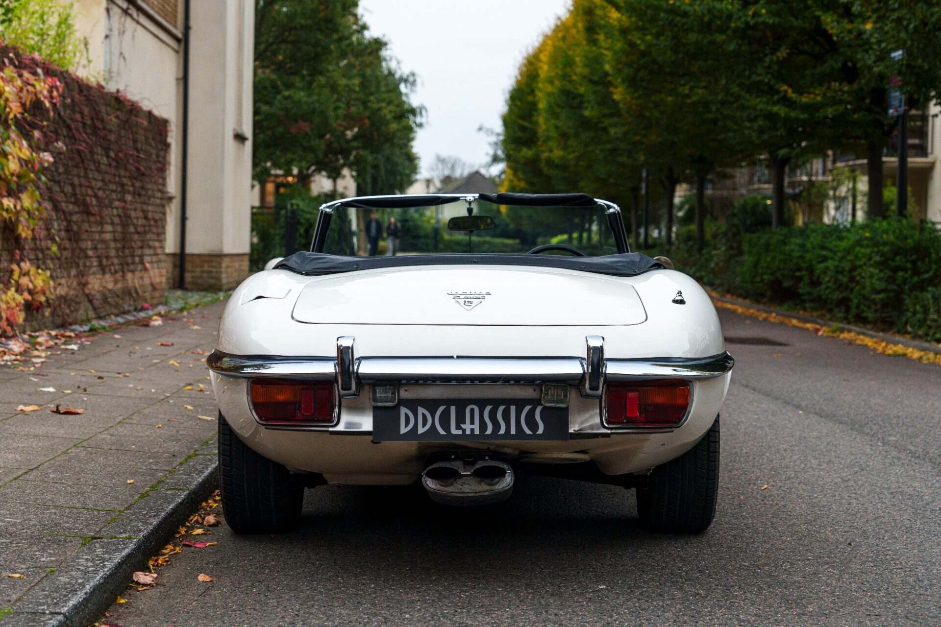 1973 Jaguar E-Type SIII - Series III V12 Roadster, foto 6