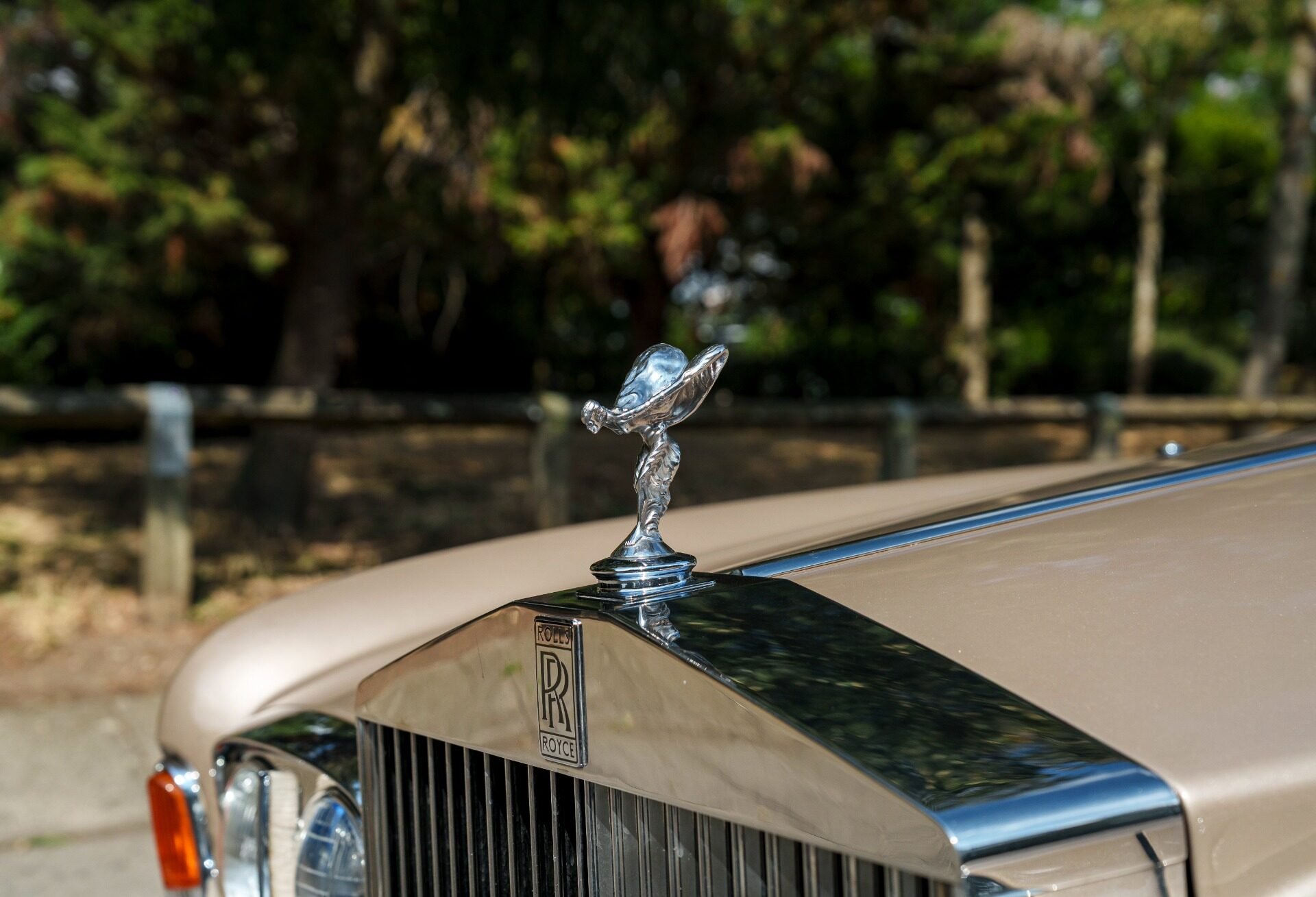 1981 Rolls-Royce Silver Wraith II - II, foto 9