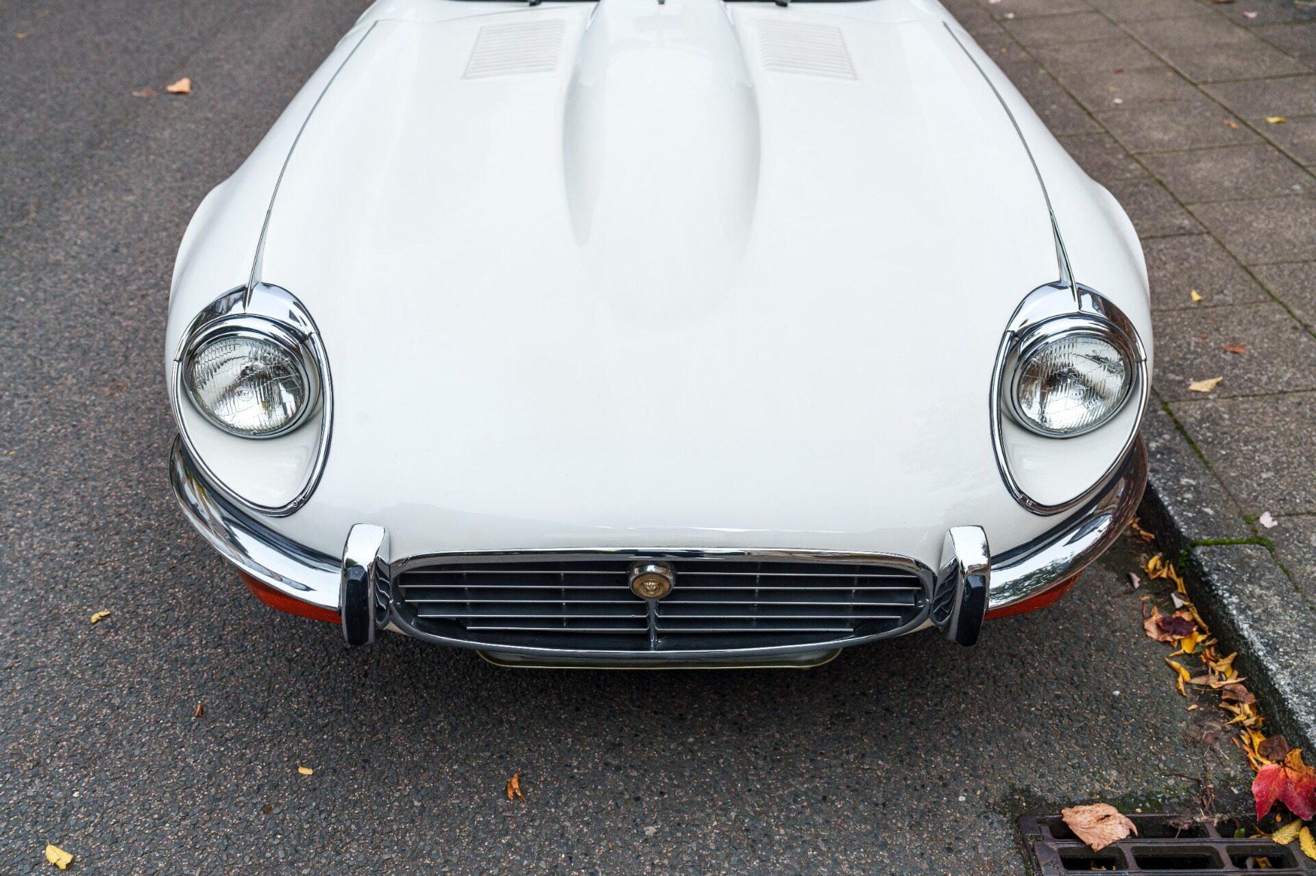 1973 Jaguar E-Type SIII - Series III V12 Roadster, foto 7
