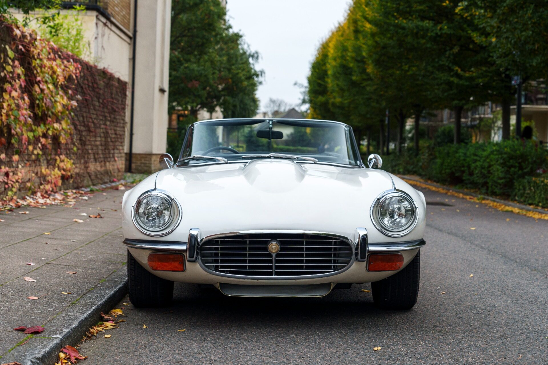1973 Jaguar E-Type SIII - Series III V12 Roadster, foto 5