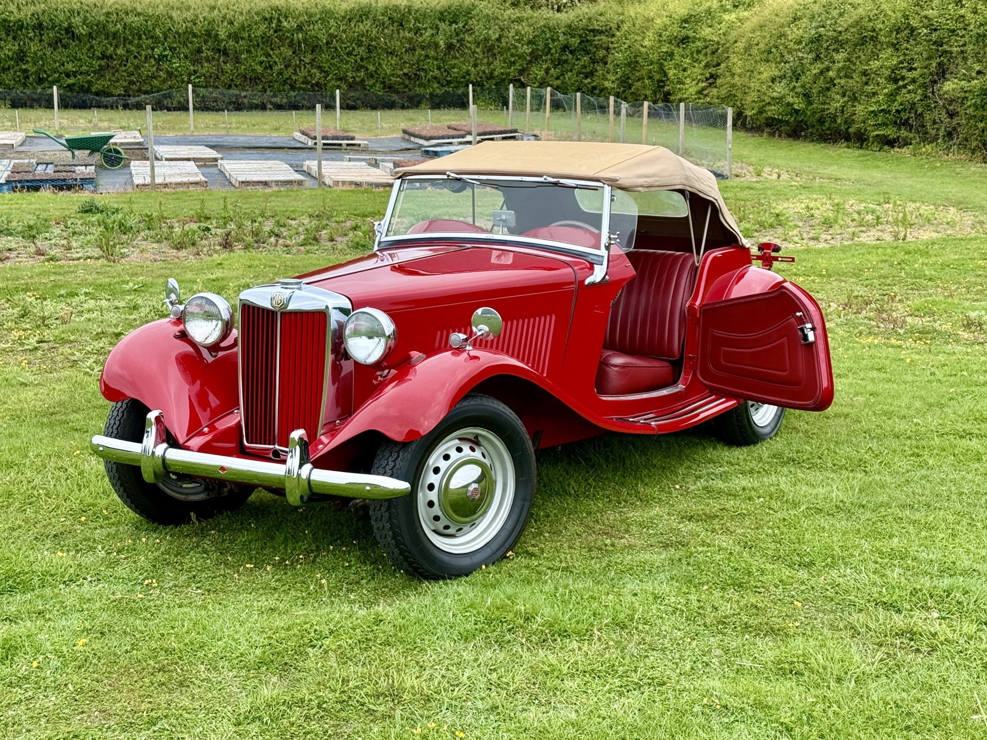 1953 MG TD - Convertible, foto 1