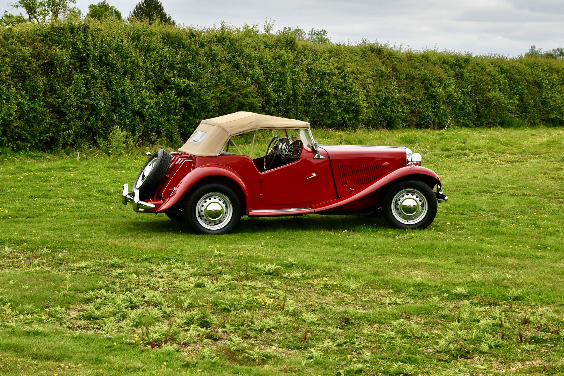 1953 MG TD - Convertible, foto 4