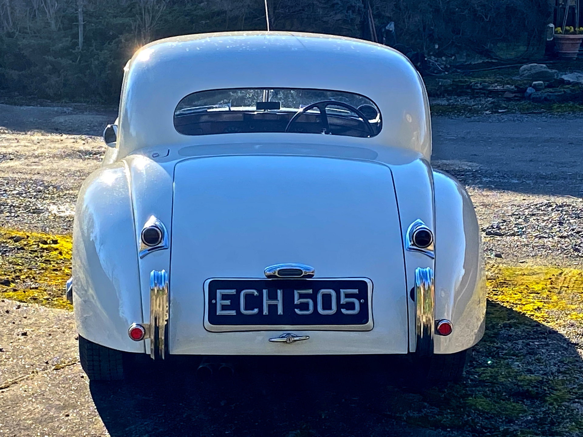 1953 Jaguar XK 120 - Coupe, foto 4
