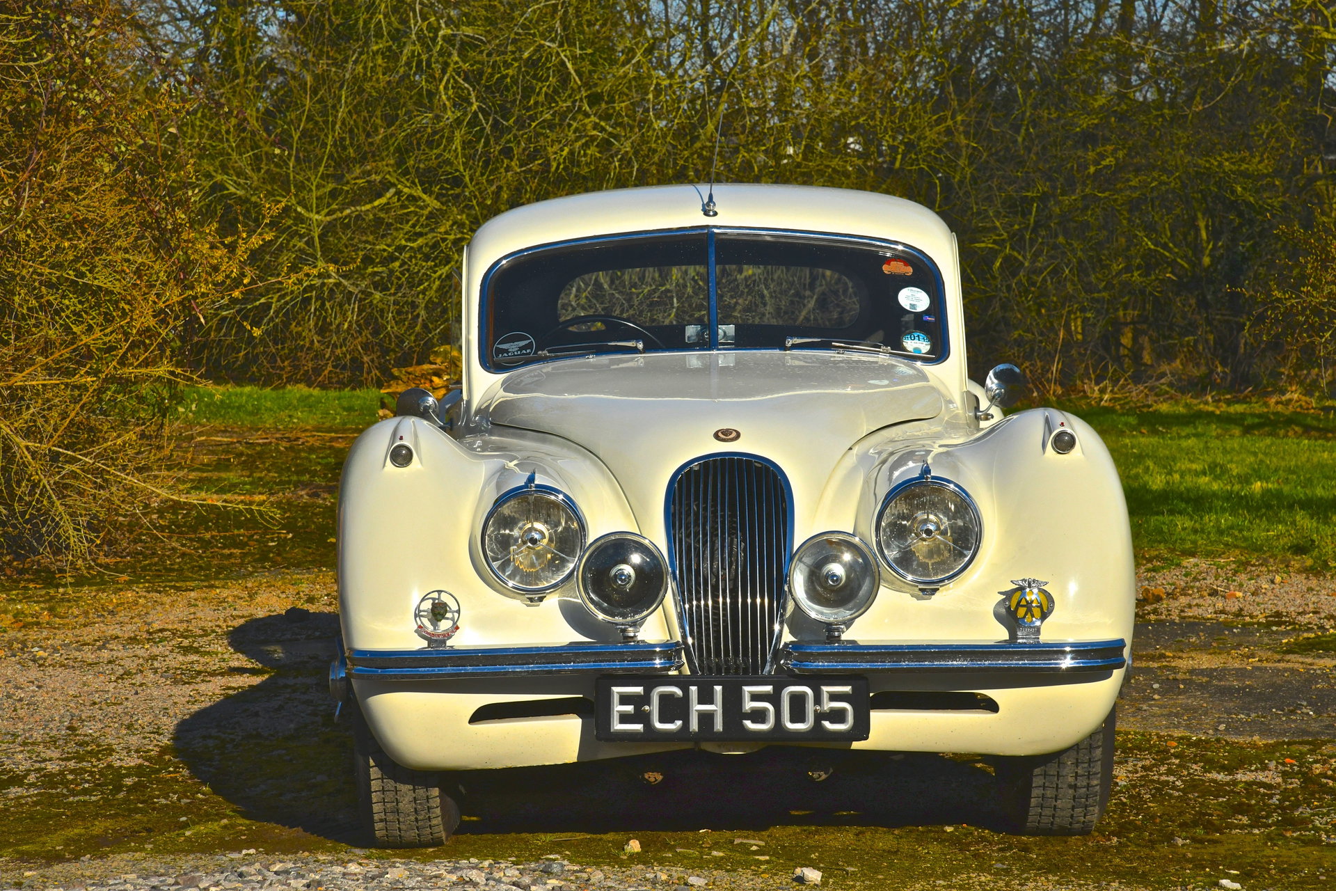 1953 Jaguar XK 120 - Coupe, foto 6