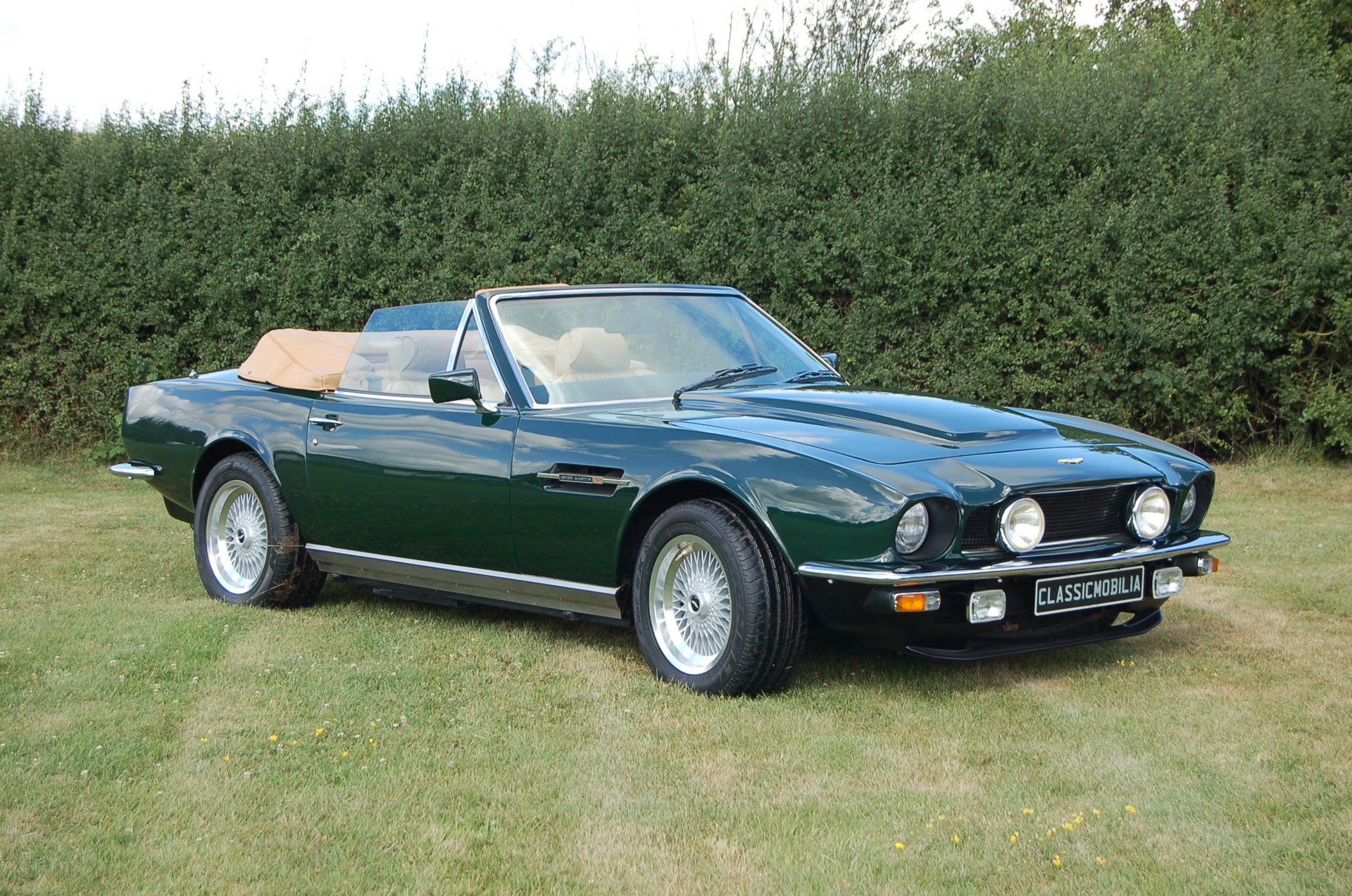 1982 Aston Martin V8 - Volante, foto 9