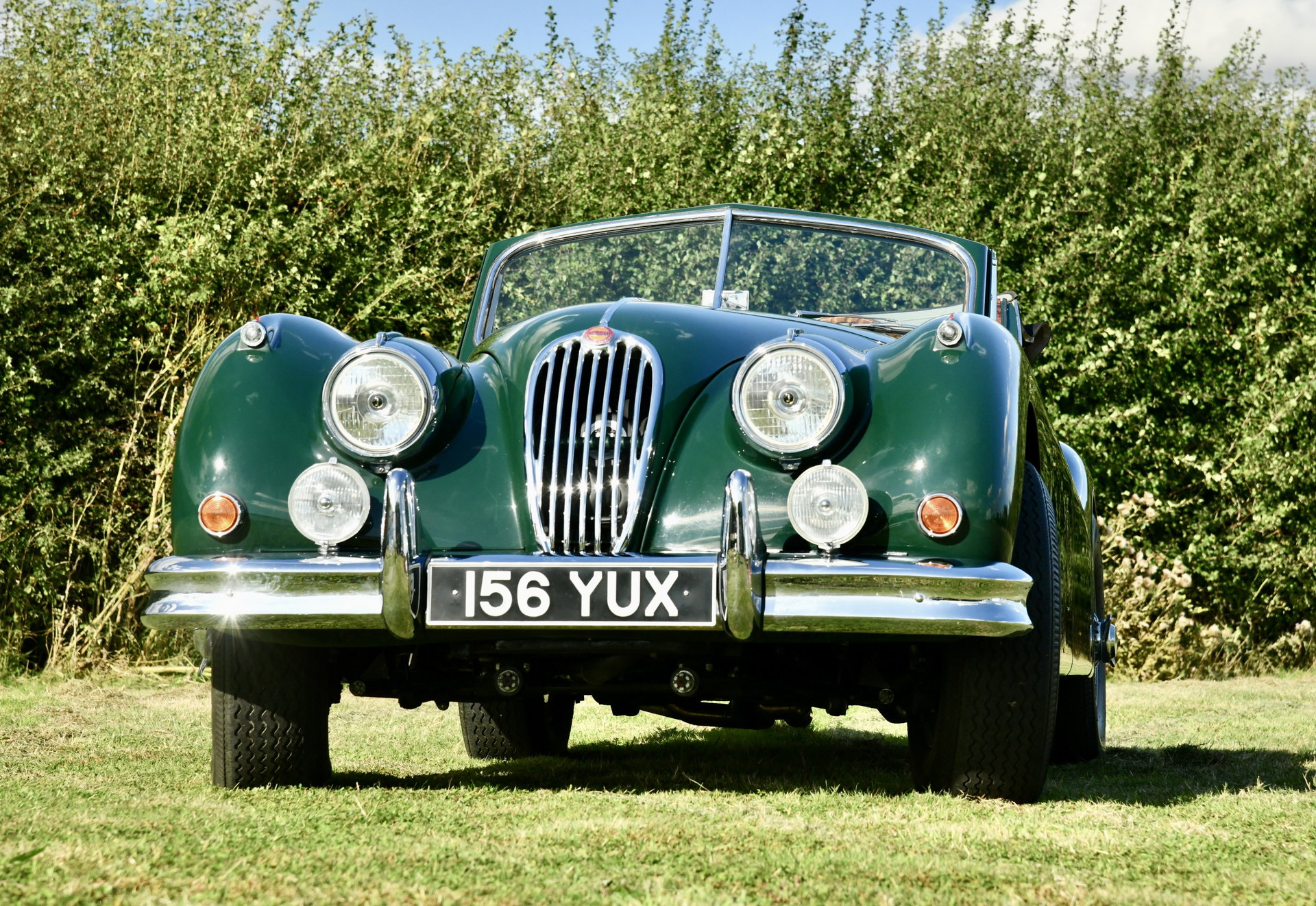 1956 Jaguar XK 140 - Jaguar XK140 SE Roadster, foto 8