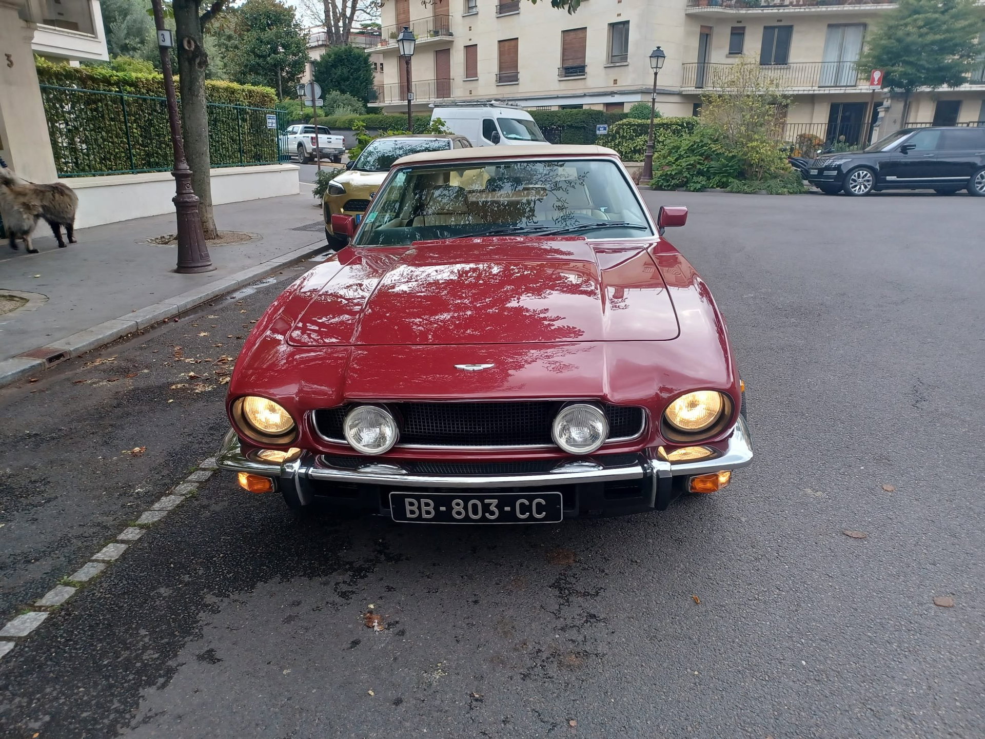 1988 Aston Martin V8 - Volante, foto 6