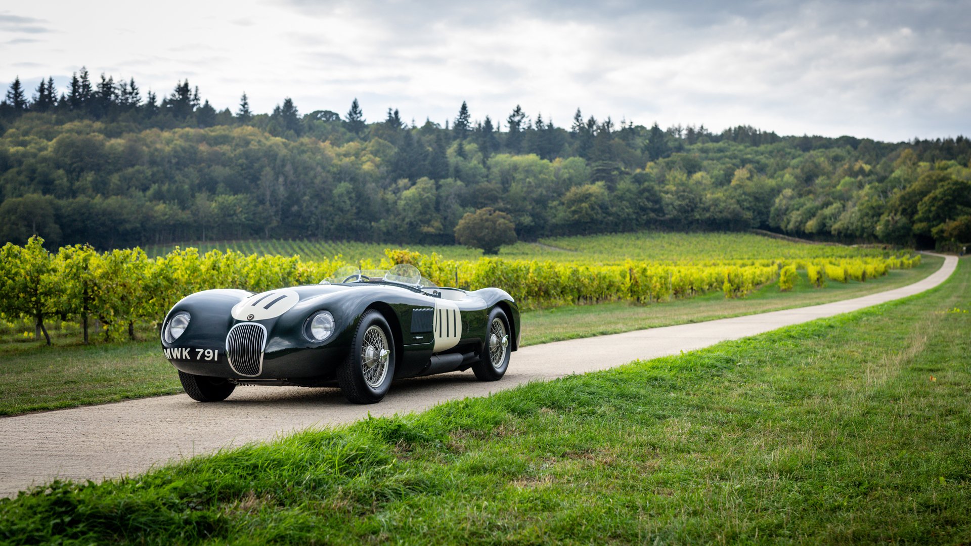 1953 Jaguar C-Type - C-Type Recreation, foto 10