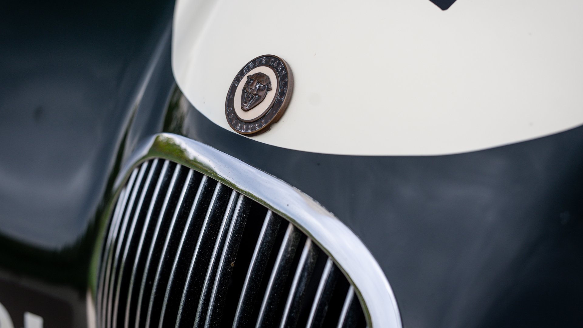 1953 Jaguar C-Type - C-Type Recreation, foto 6