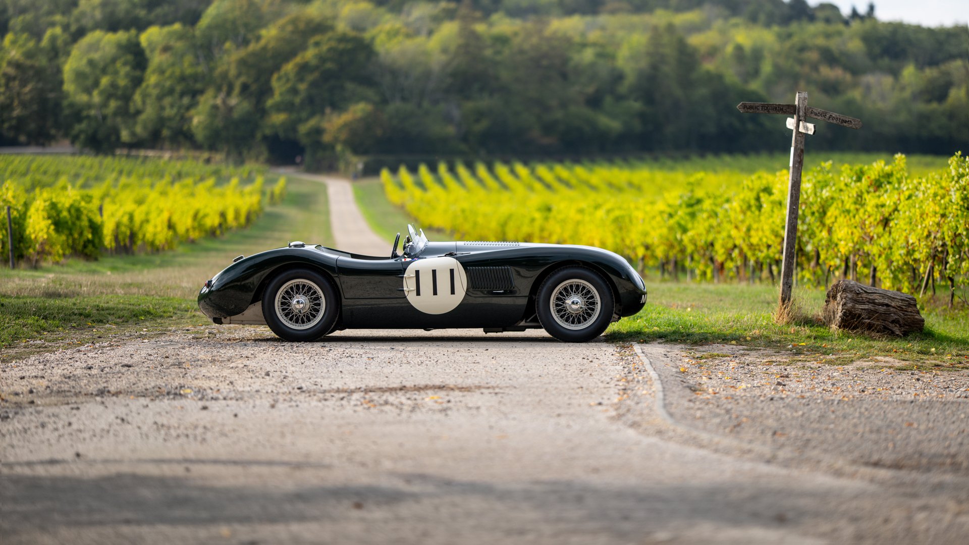 1953 Jaguar C-Type - C-Type Recreation, foto 12