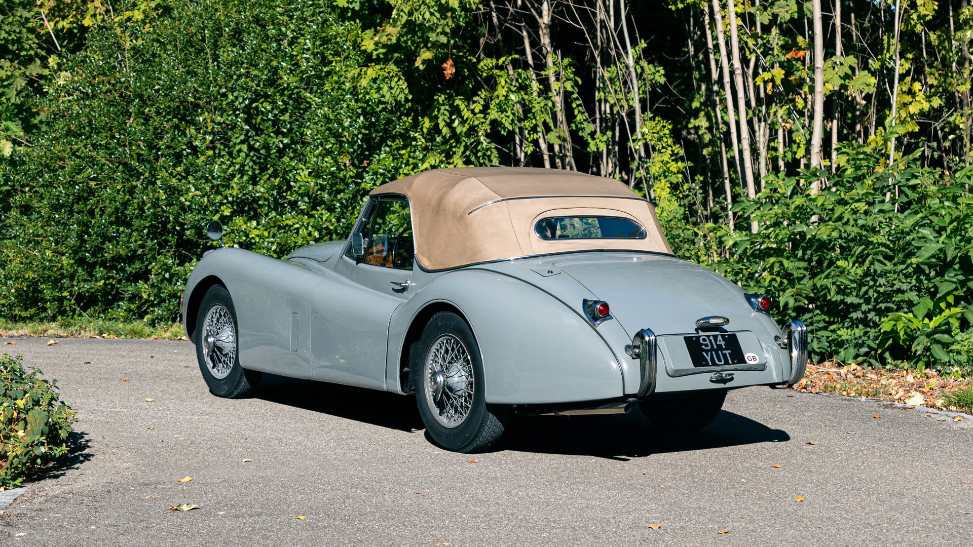 1953 Jaguar XK 120 - XK 120 SE Drophead Coupé, foto 9