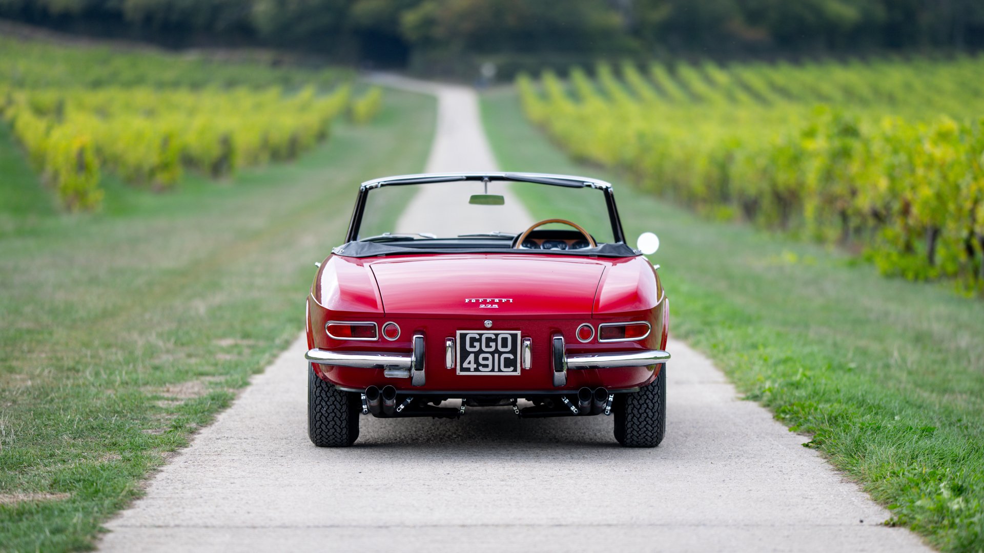 1965 Ferrari 275 - 275 GTS, foto 8