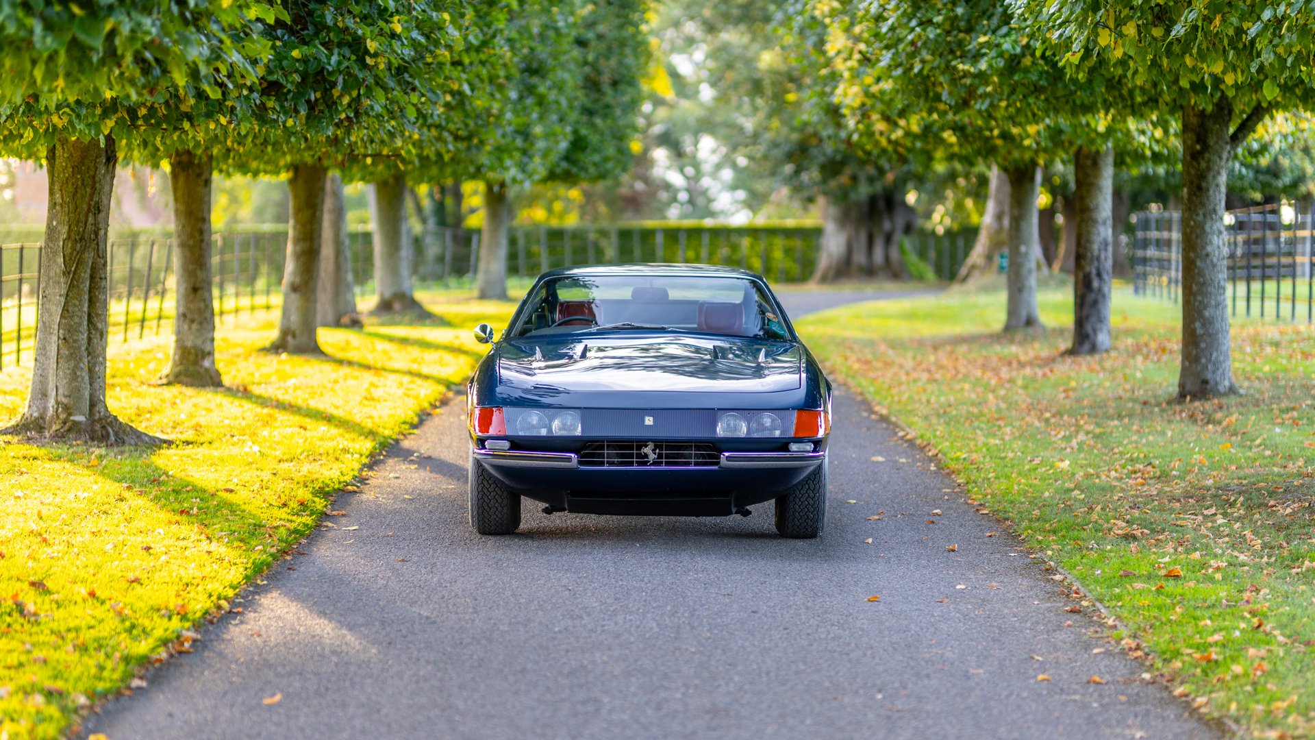 1971 Ferrari 365 - 365 GTB/4 Daytona Berlinetta, foto 8