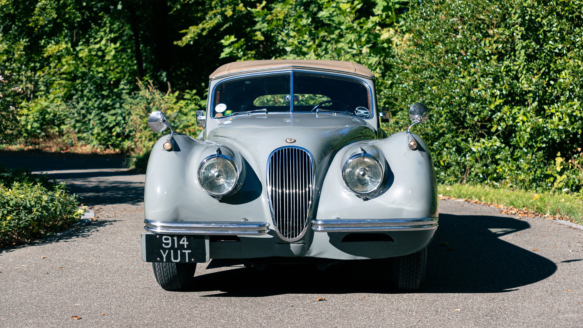 1953 Jaguar XK 120 - XK 120 SE Drophead Coupé, foto 6