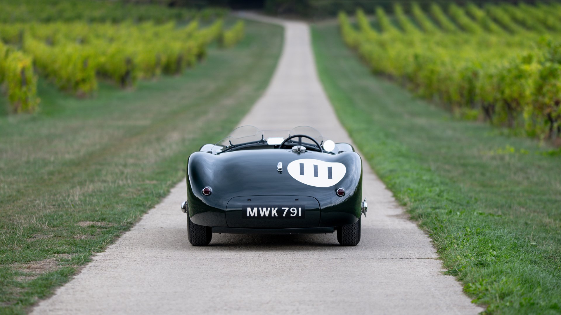 1953 Jaguar C-Type - C-Type Recreation, foto 8