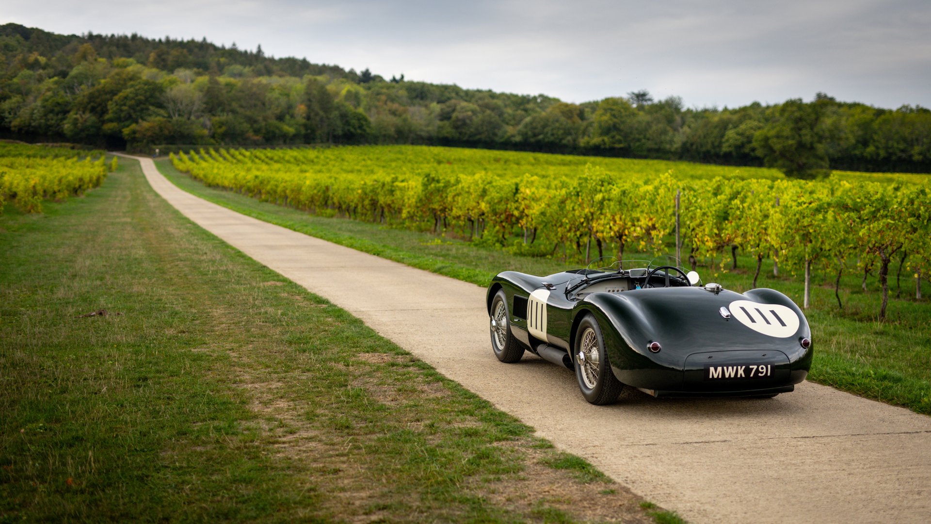 1953 Jaguar C-Type - C-Type Recreation, foto 11
